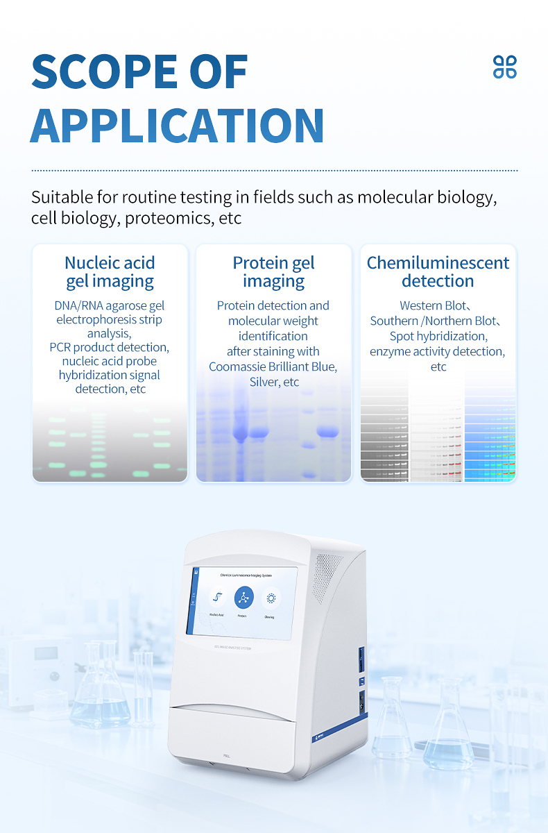 Application scenarios for nucleic acid protein gel and chemiluminescent detection
