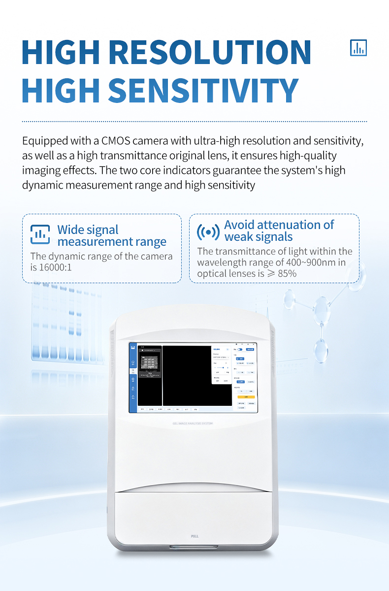 HM-CL high sensitivity CMOS sensor for quantitative Western Blot analysis