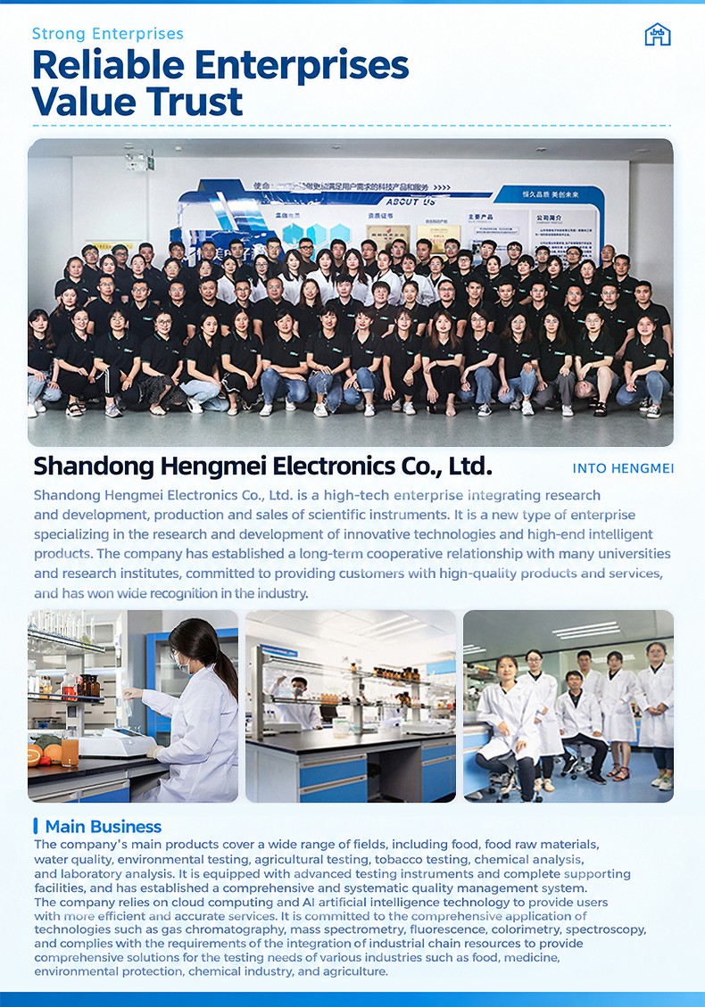 Shandong Hengmei Electronics corporate headquarters, modern R&D laboratories, and high-precision instrument manufacturing capabilities